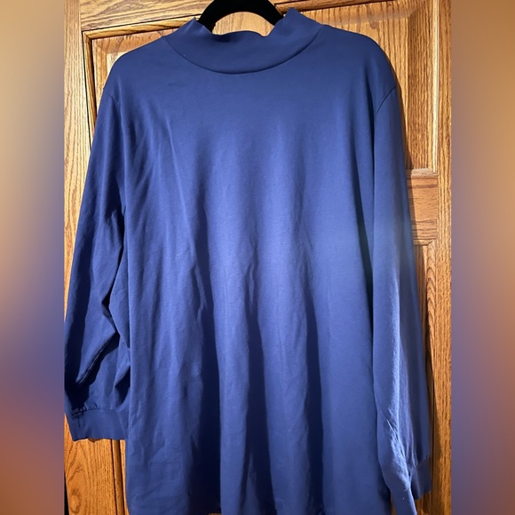 Plus size woman’s mock turtleneck, never worn. Woman’s within 4X, 34W 36W - Picture 1 of 4